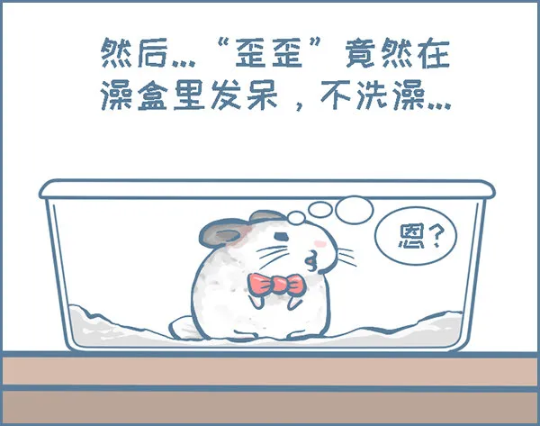 龙猫“歪歪”不洗澡了（1） 第4页