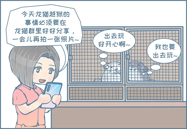 龙猫国儿“越狱”记（4） 第5页
