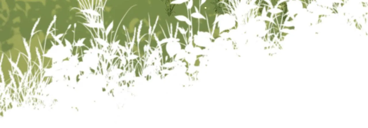 第87话 可怕的推测 第75页