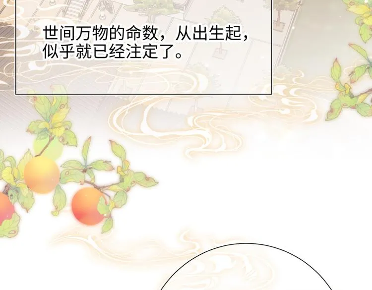 33话最稳妥的方法 第6页