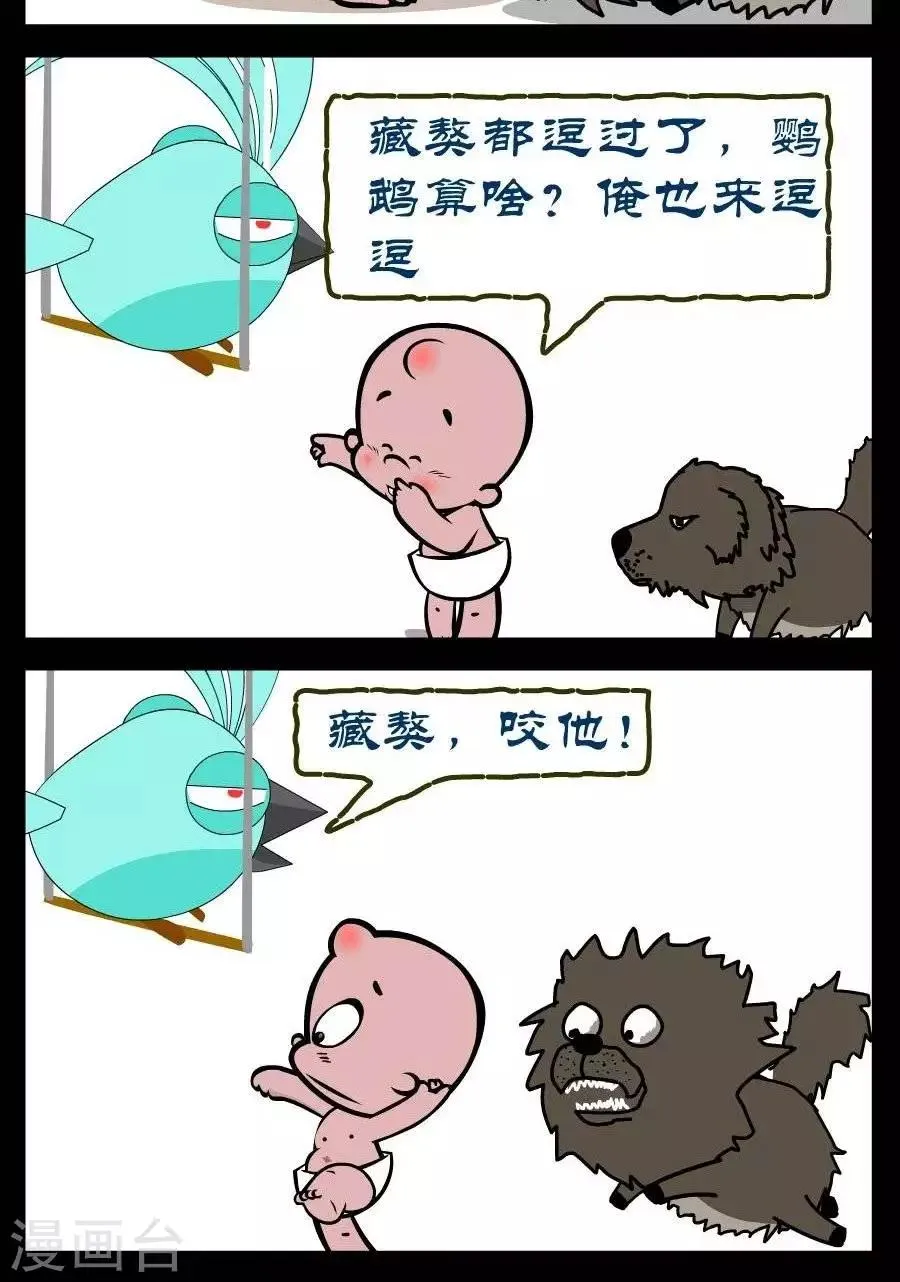 第327话 鹦鹉和藏獒 第2页