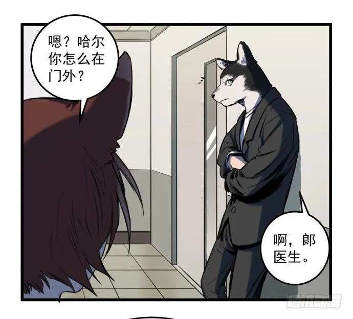 梁新凉了？ 第14页