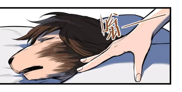 梁新凉了？ 第28页