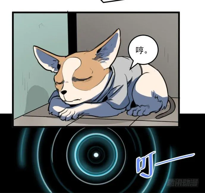 文明养犬 遛狗牵绳 第42页