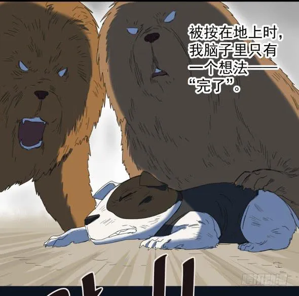 以后我罩着你 第31页