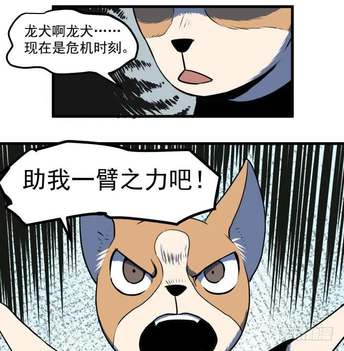 贿赂和袭击？重罪！ 第9页