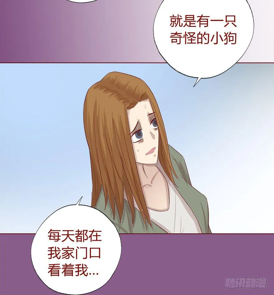 017灵宠（上） 第30页