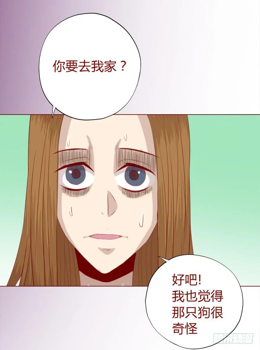 017灵宠（上） 第35页