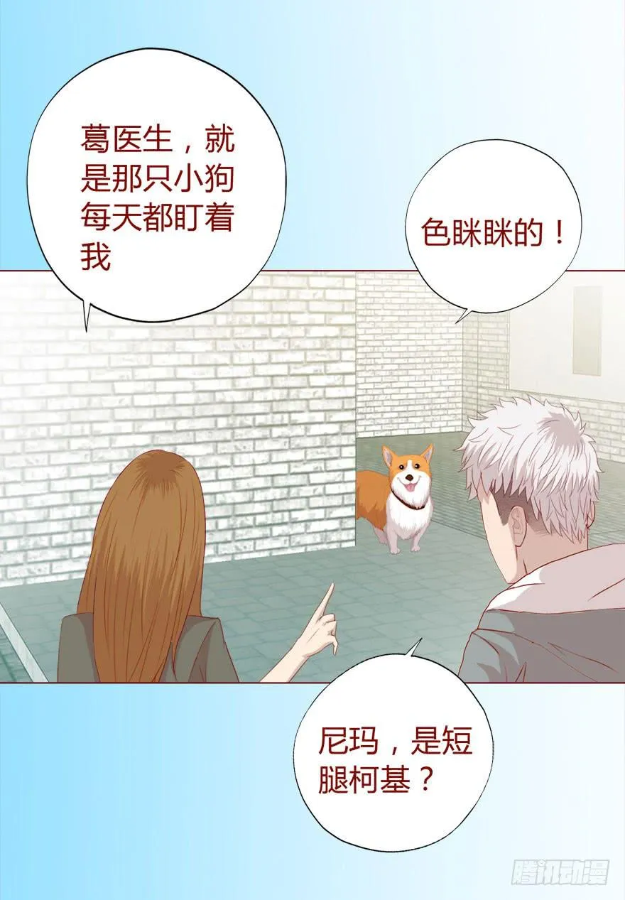 017灵宠（上） 第42页