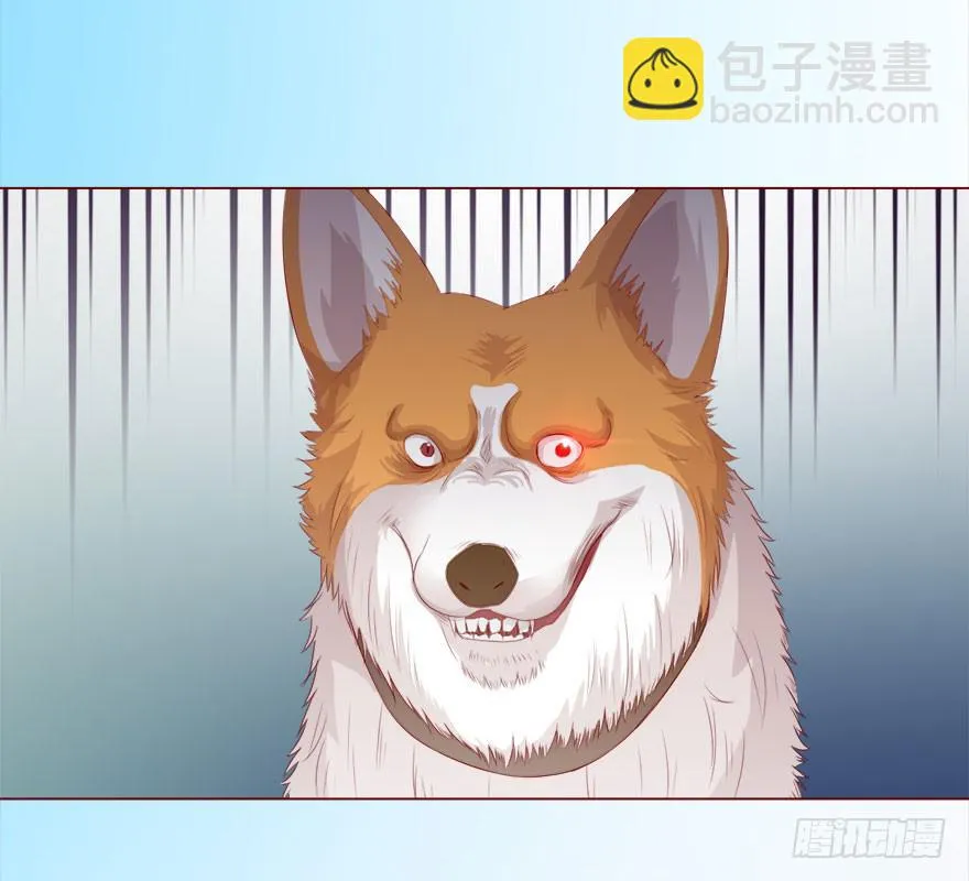 017灵宠（上） 第43页