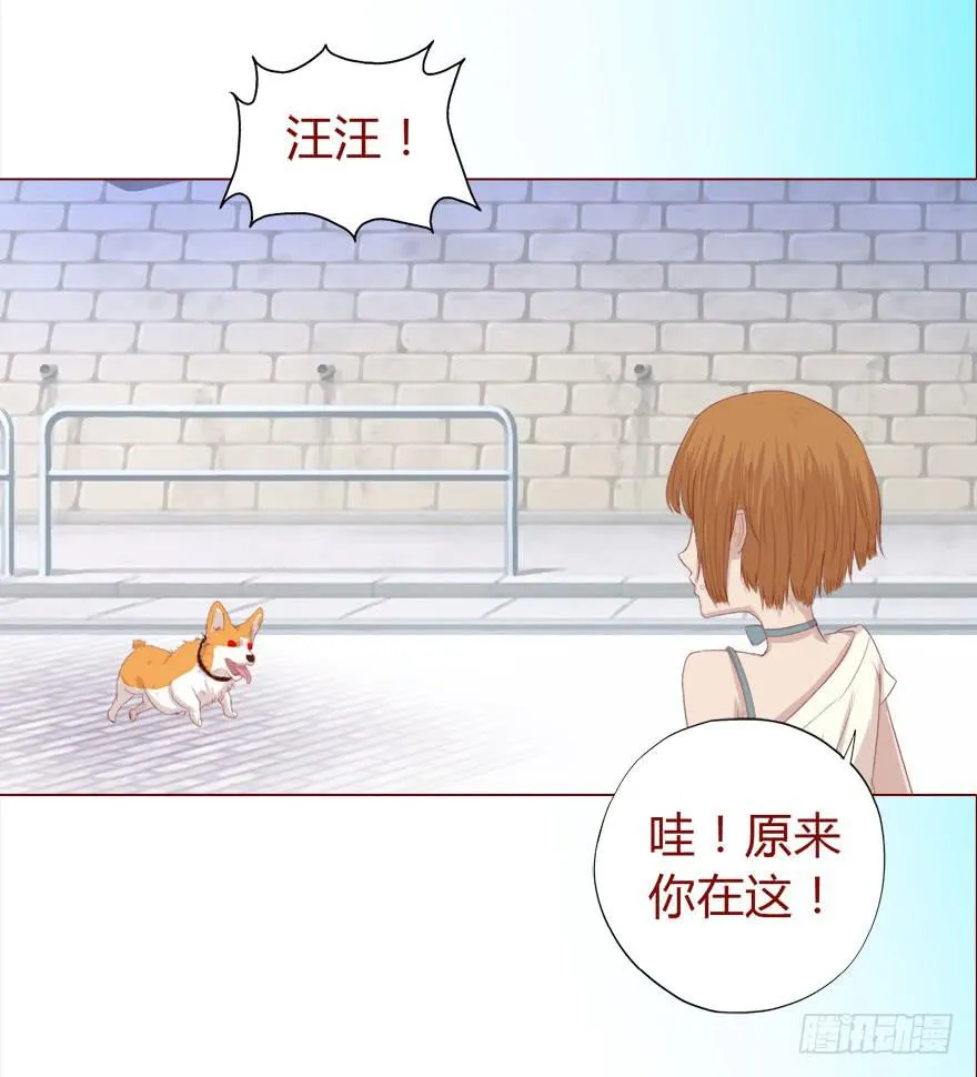 017灵宠（下） 第8页