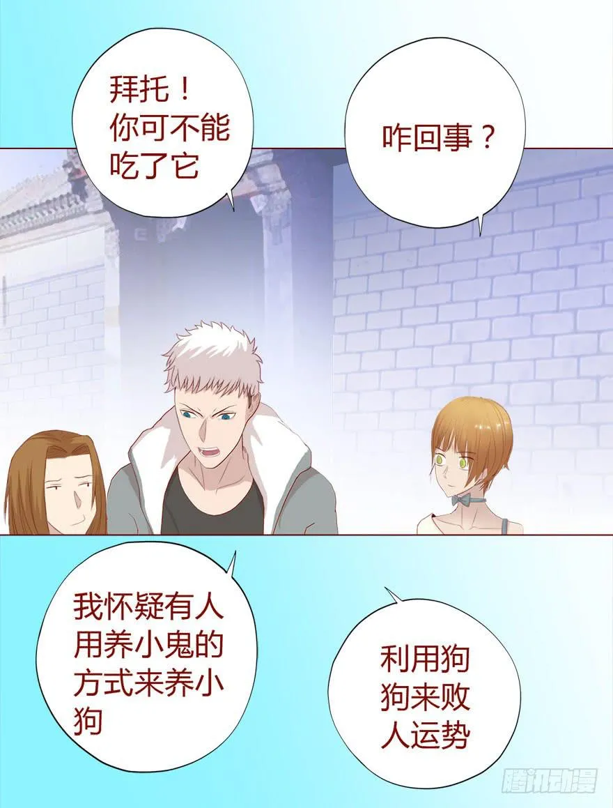 017灵宠（下） 第15页