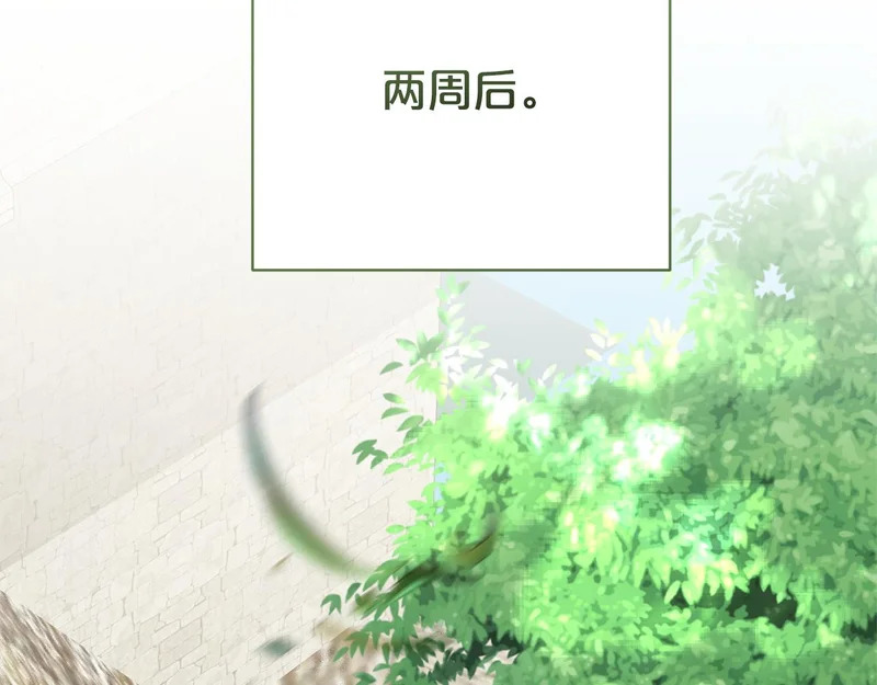 番外4 调查 第161页