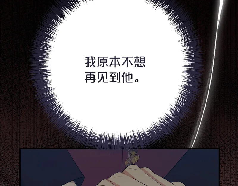 番外4 调查 第244页