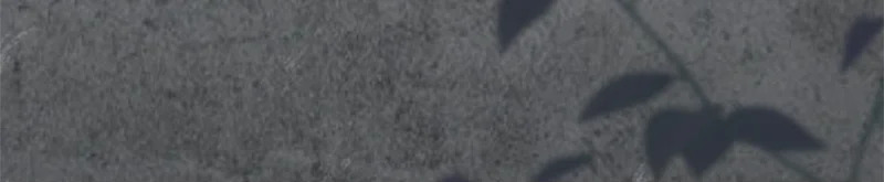番外4 调查 第249页