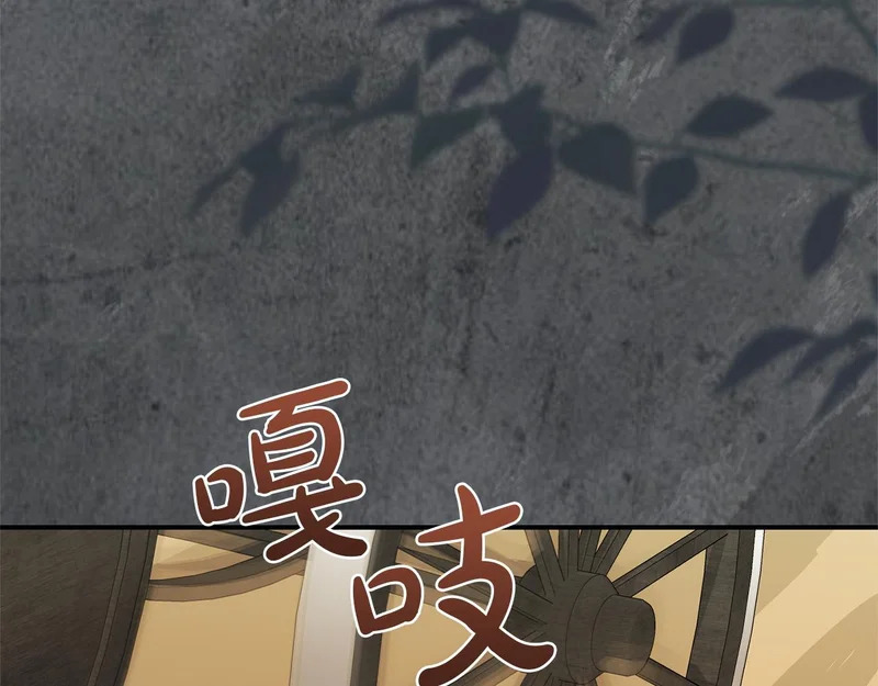 番外4 调查 第250页