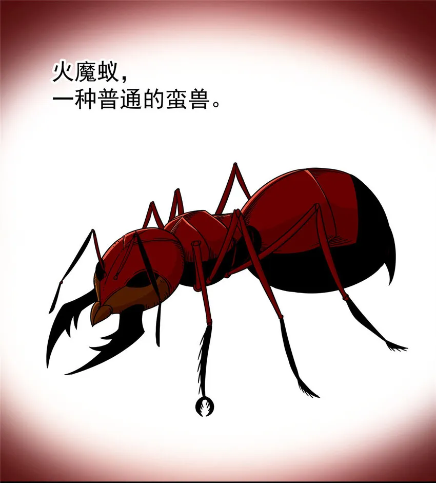 88 聚拢了！ 第2页