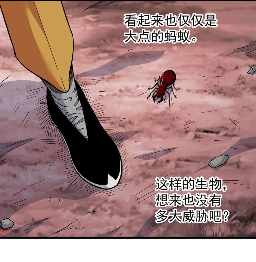 88 聚拢了！ 第3页