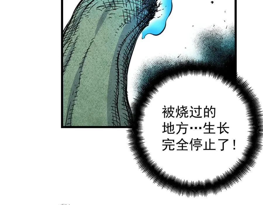 120 状态绝佳 第33页