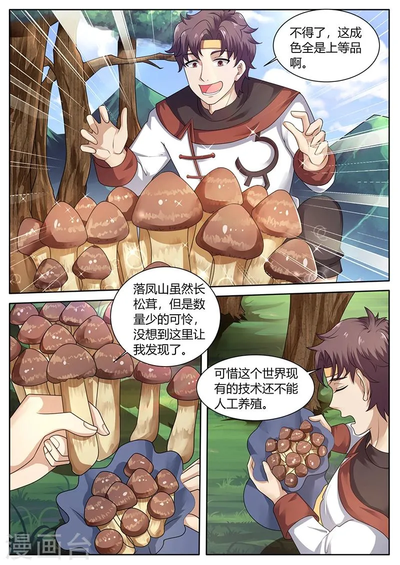 第73话 培植松茸 第1页