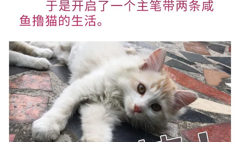 第二季 第7话 事实证明你是受 上 第65页