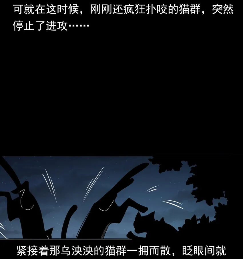 063 苗山诡闻 第51页