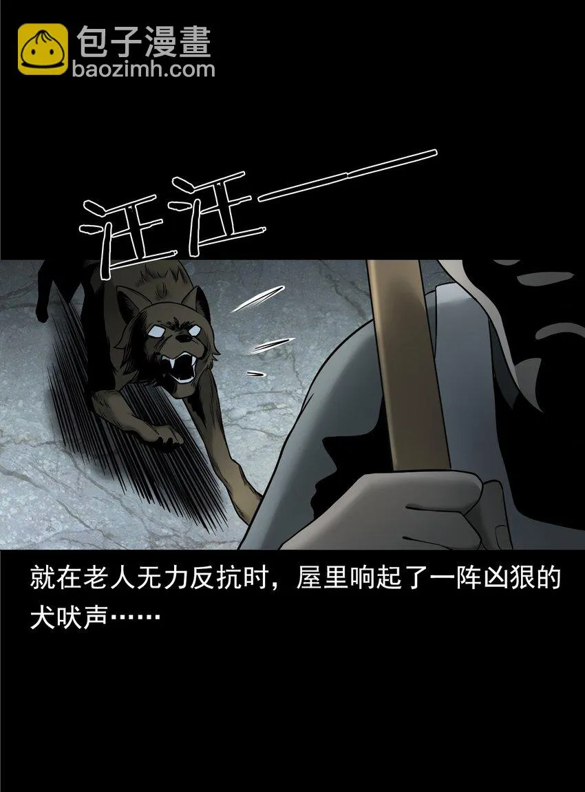 043 灵犬（下） 第29页