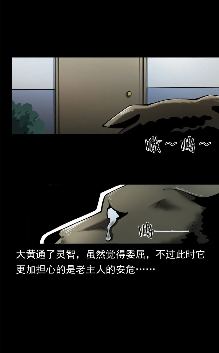 043 灵犬（下） 第42页