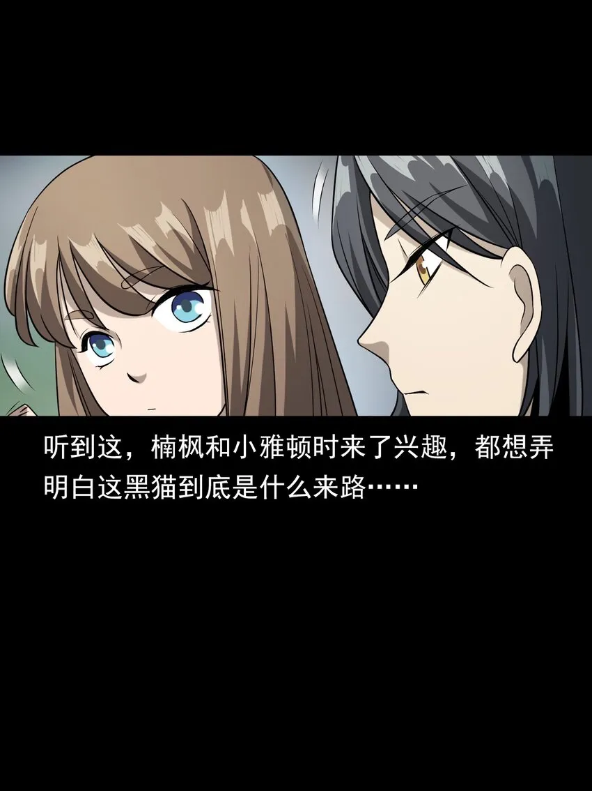 035 诡异的黑猫（上） 第68页