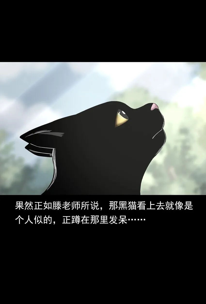035 诡异的黑猫（上） 第72页
