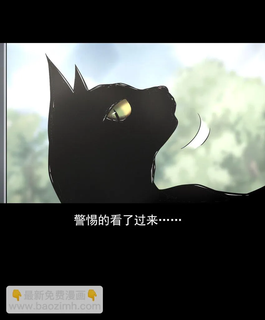 036 诡异的黑猫（下） 第11页
