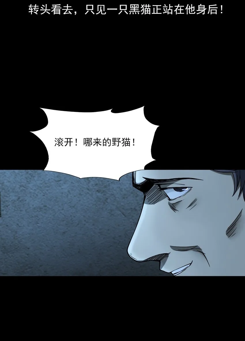 036 诡异的黑猫（下） 第95页