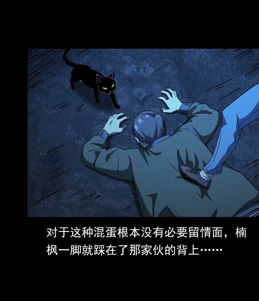 036 诡异的黑猫（下） 第102页
