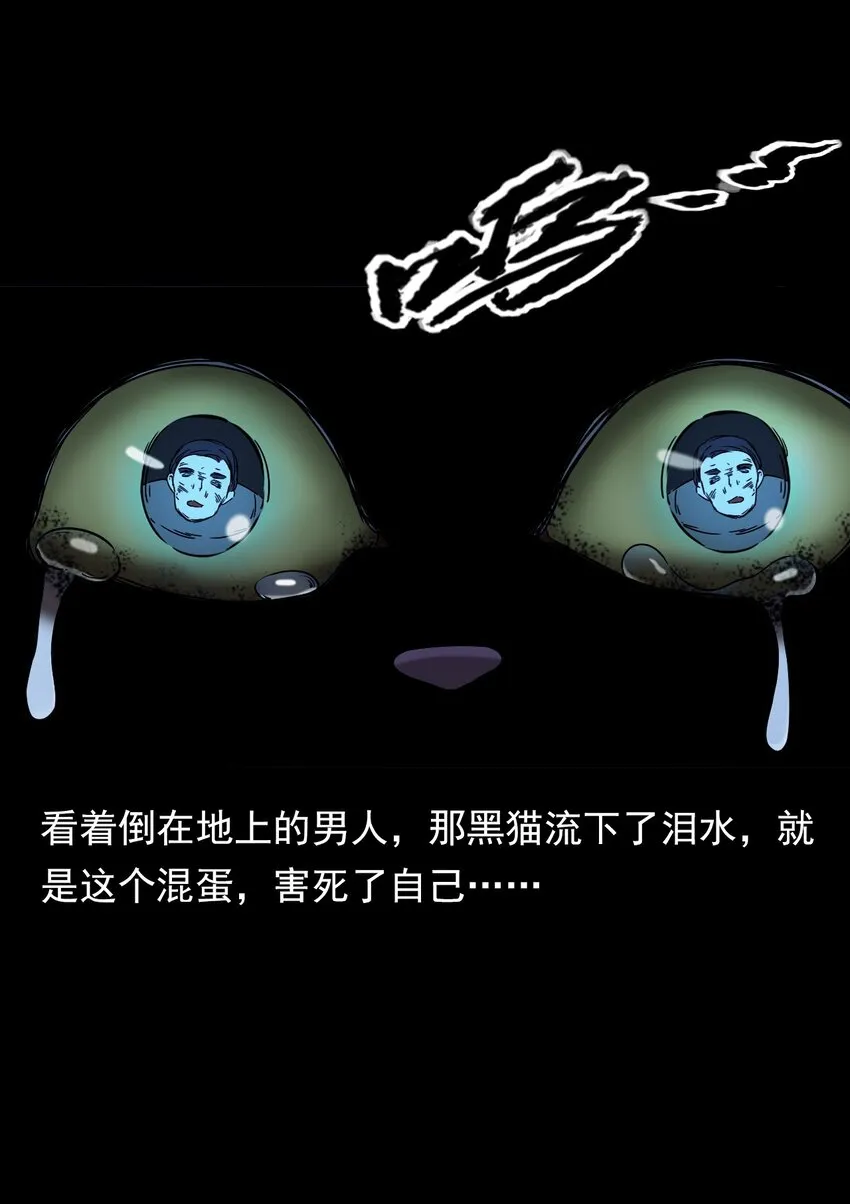 036 诡异的黑猫（下） 第103页