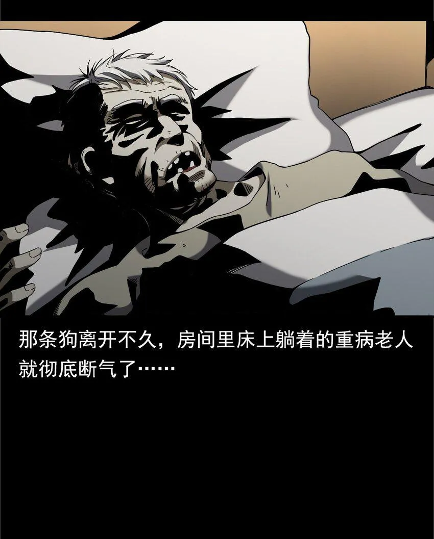 042 灵犬（上） 第12页