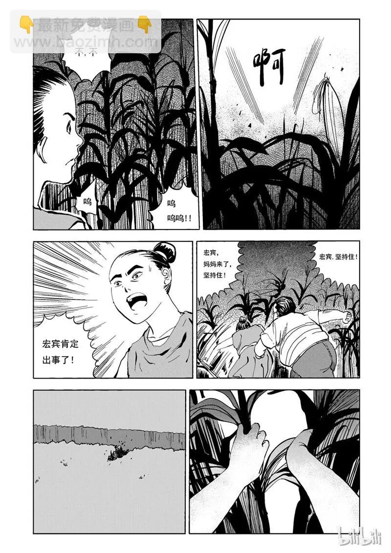 18 庄园中的稻草人（五） 第4页