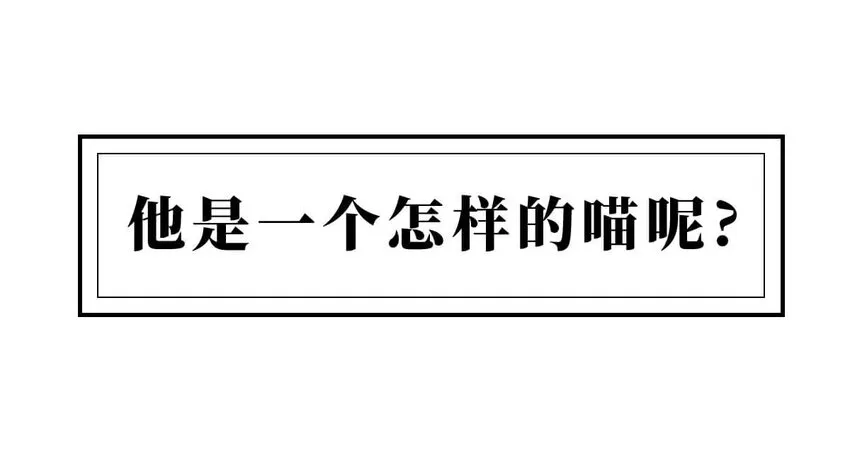 12 【周公治国】没想到吧！你经常梦见的男人竟然是个玛丽苏… 第13页