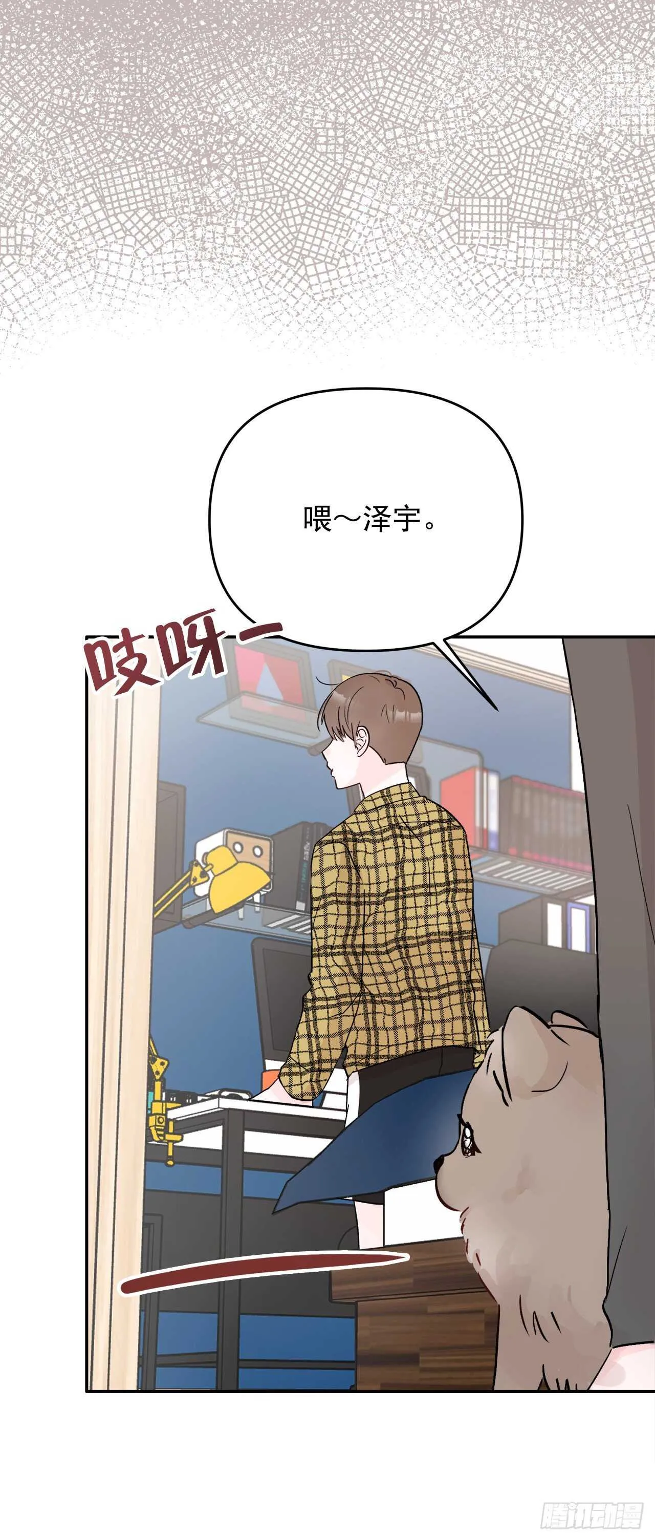 13.泽宇 第15页