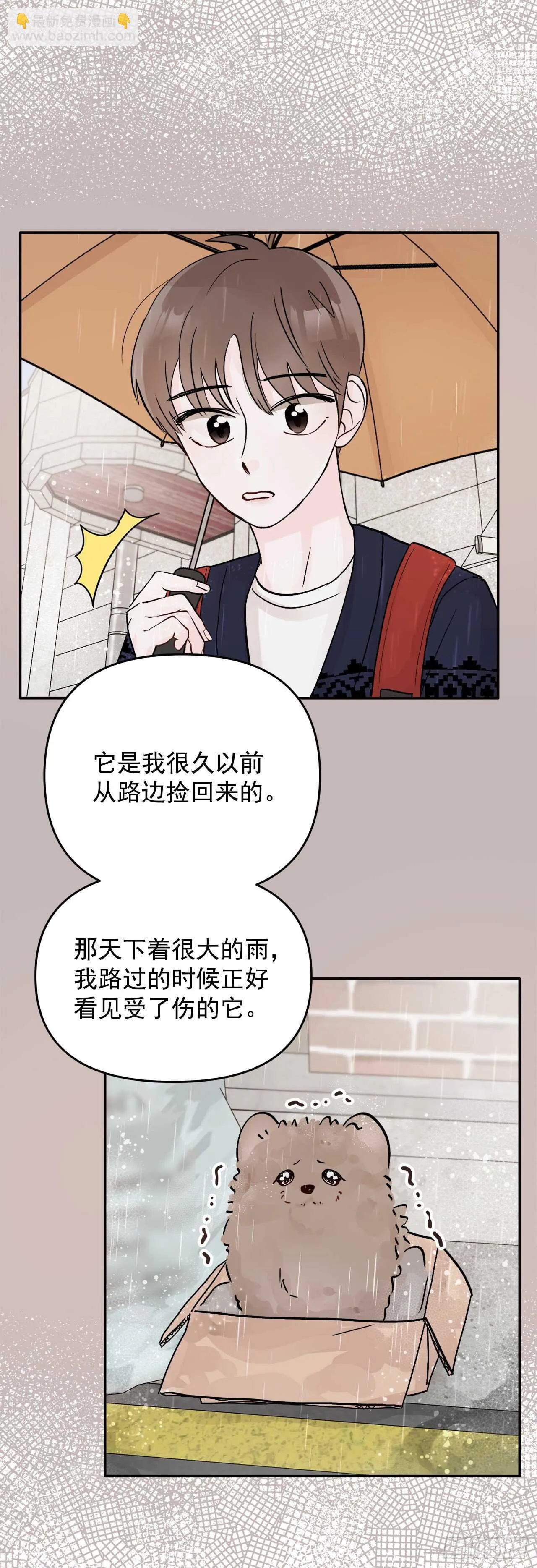 13.泽宇 第31页