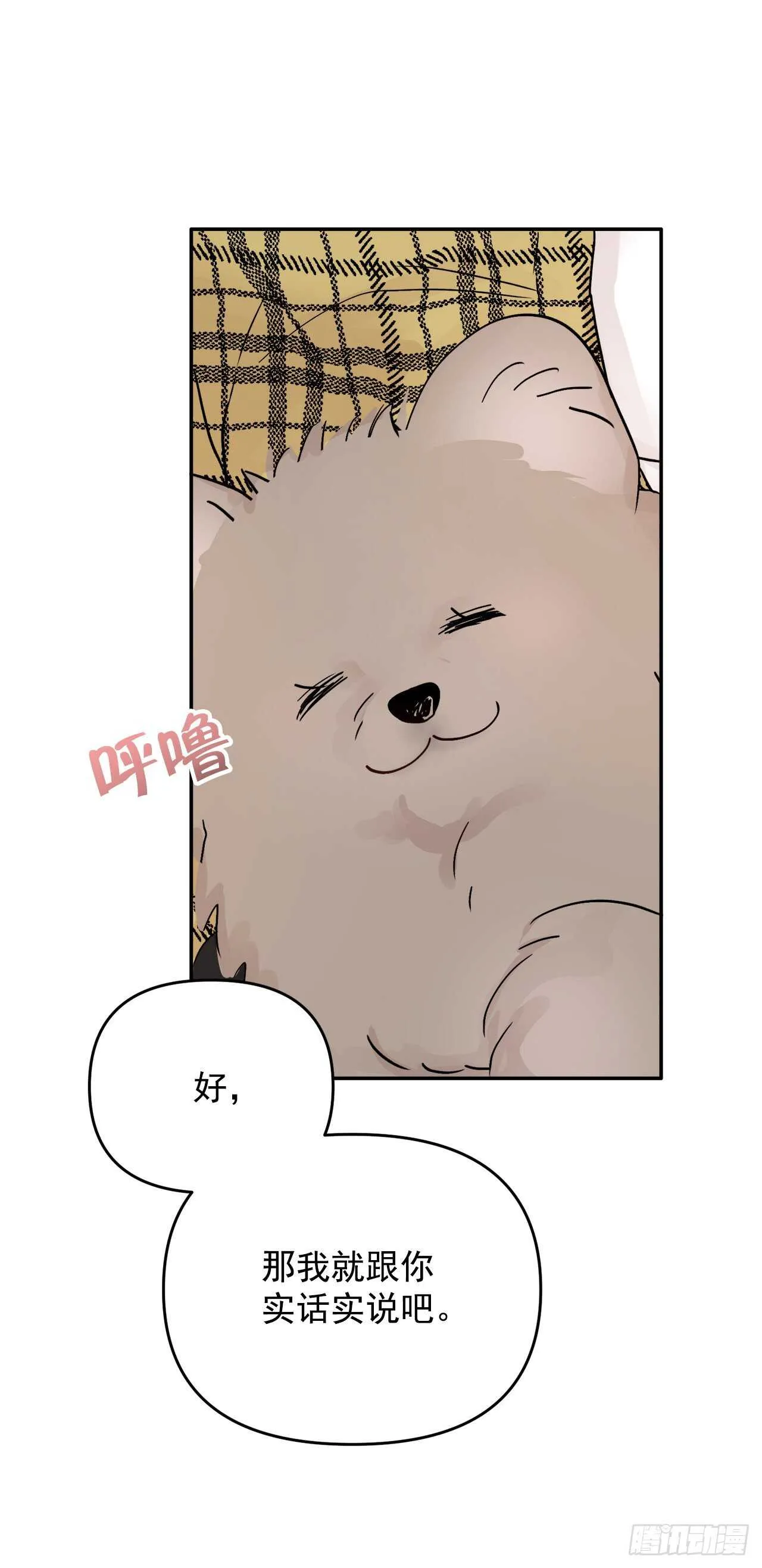 13.泽宇 第39页