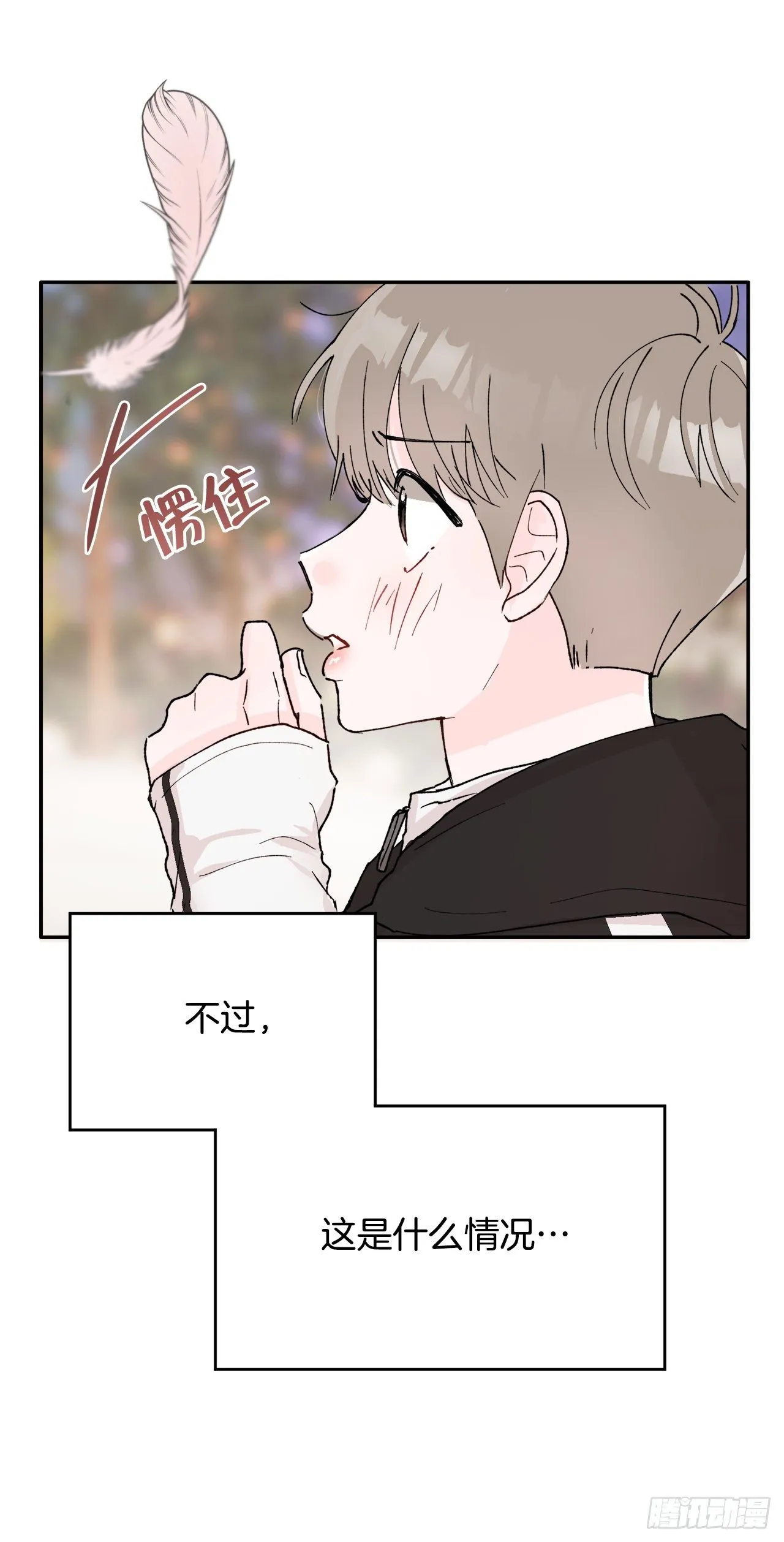 1.捡到小粉熊 第2页