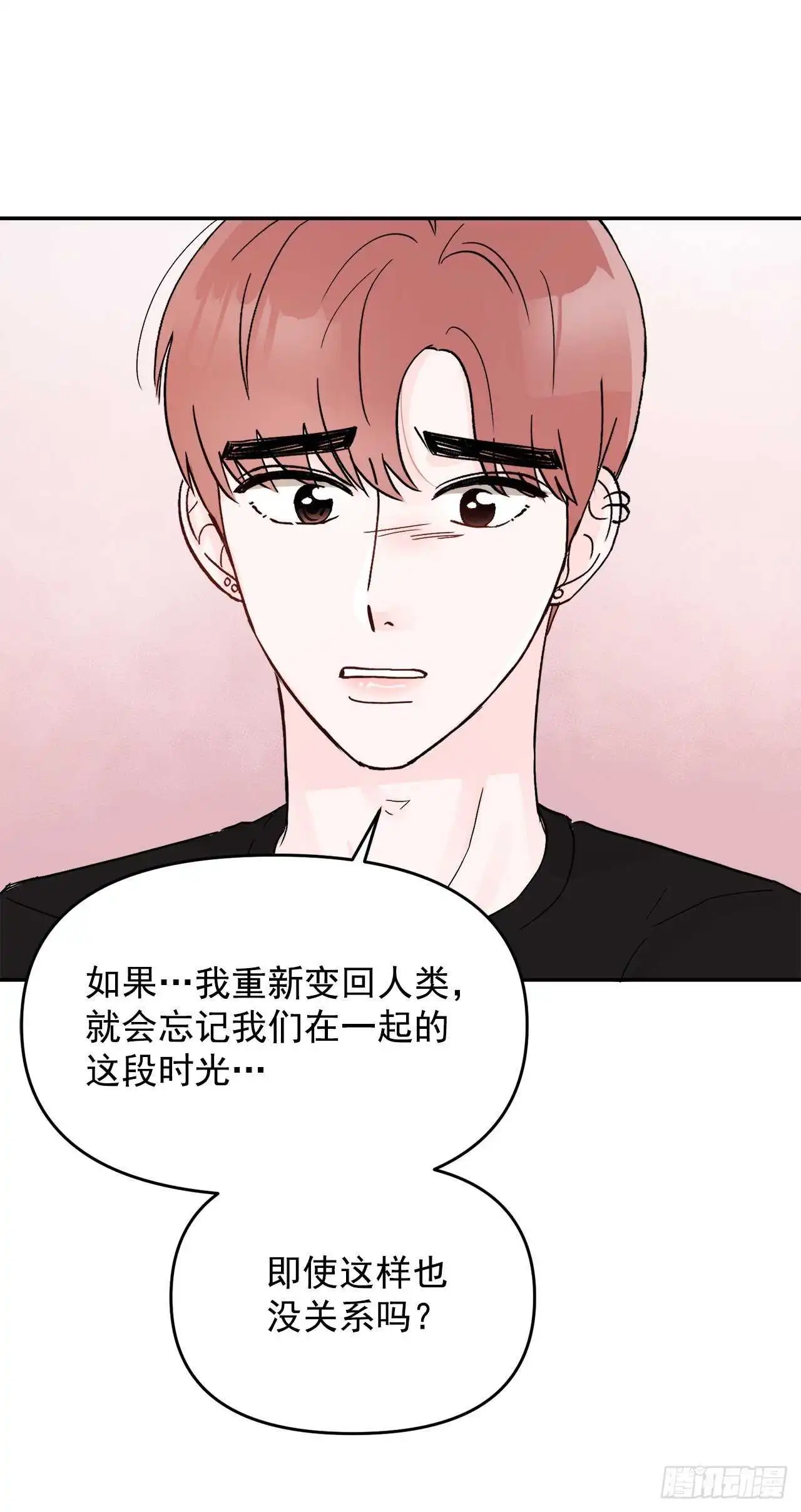 31.我终于找到你了 第15页