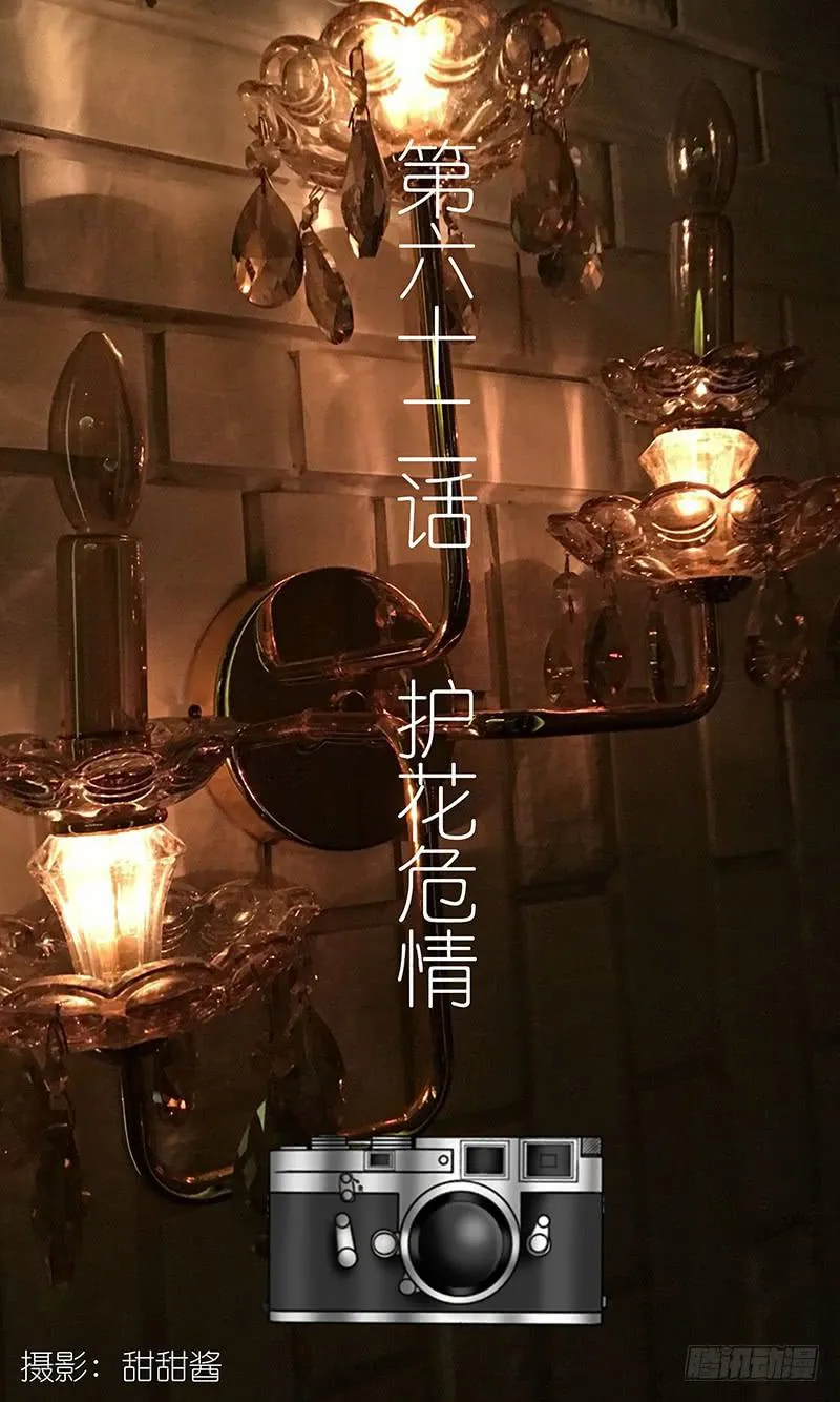 第六十二话 护花危情 第3页