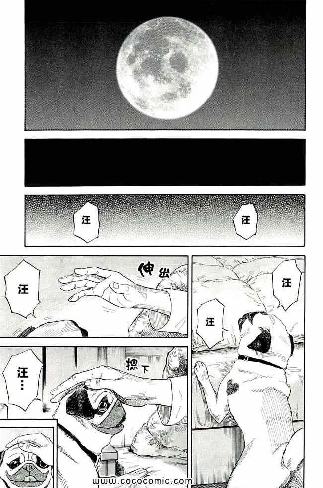 第17卷 第79页