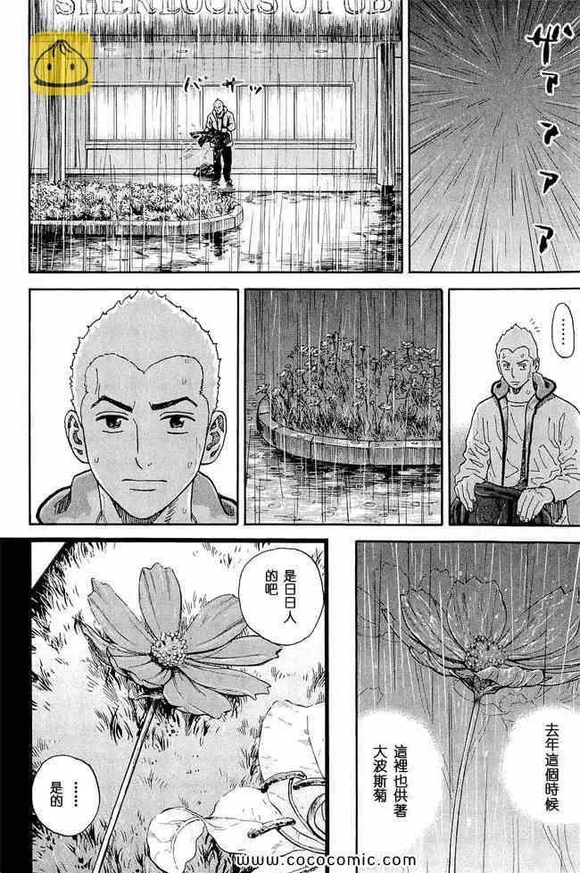 第17卷 第96页