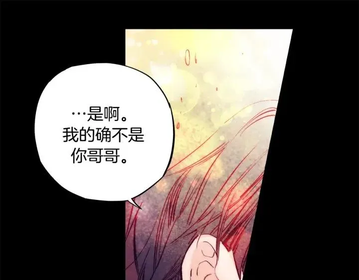 第二季 第27话 你不是我哥哥 第47页