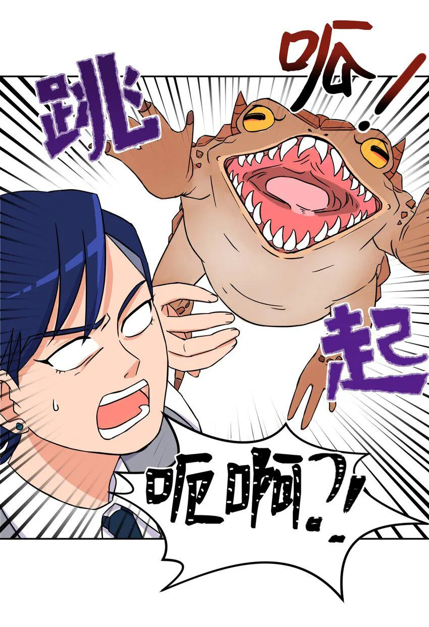 03 硬甲角蛙 第24页