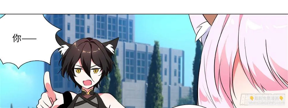 出发！猫之乡！ 第13页