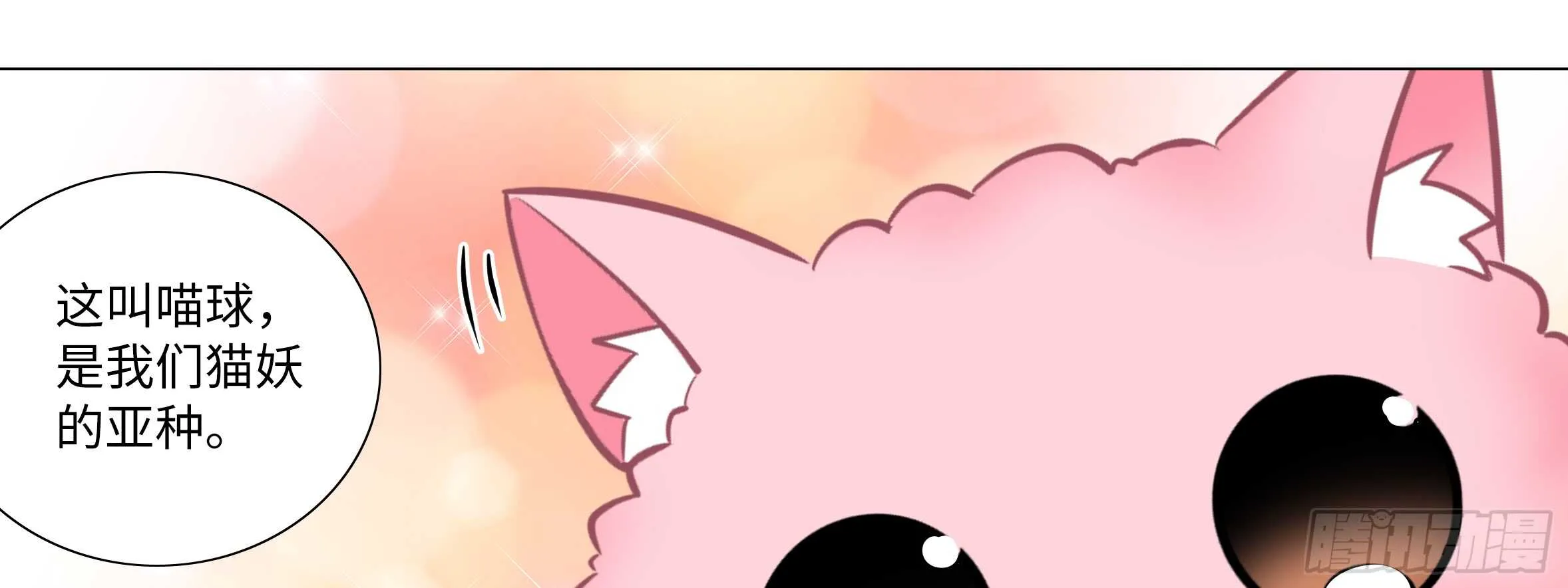 出发！猫之乡！ 第57页