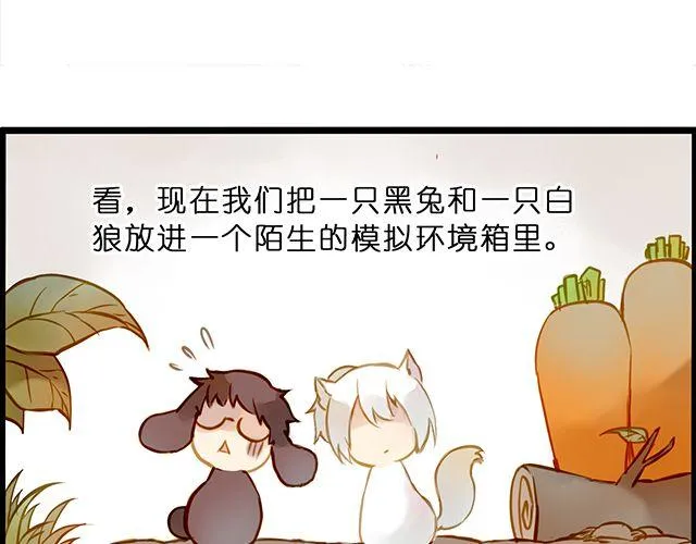 好的，主人 第40页